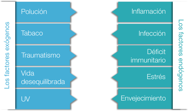 estrés oxidativo